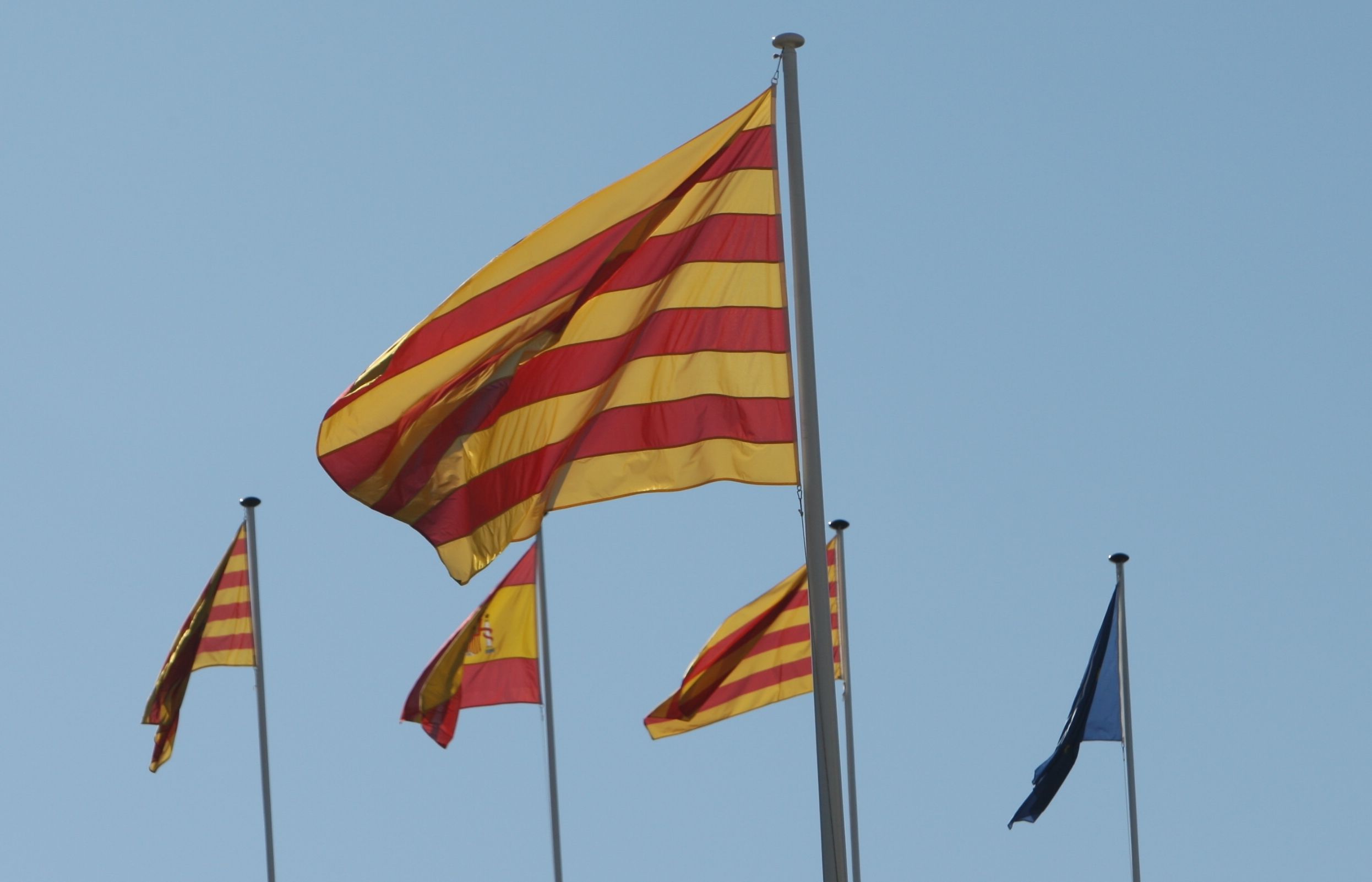 El PP vol que sempre onegin totes les banderes FOTO: A. Ribera