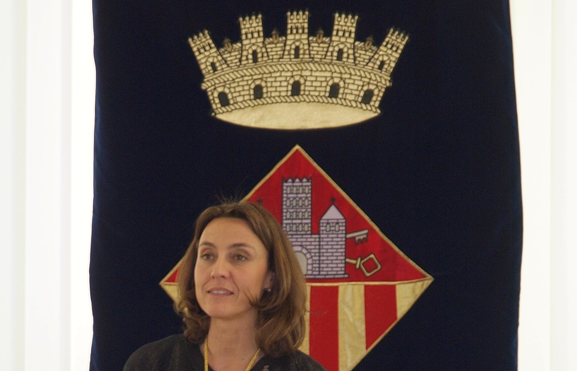 Conesa ja era una de les vicepresidentes de la institució durant l'anterior mandat. FOTO: A Ribera