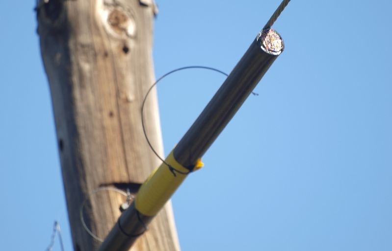 Els lladres roben el coure de la línia de telèfon. FOTO: A. Ribera