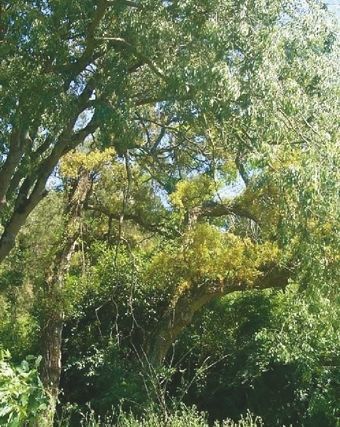 FOTO: Jordi Roca i Josep Castellví