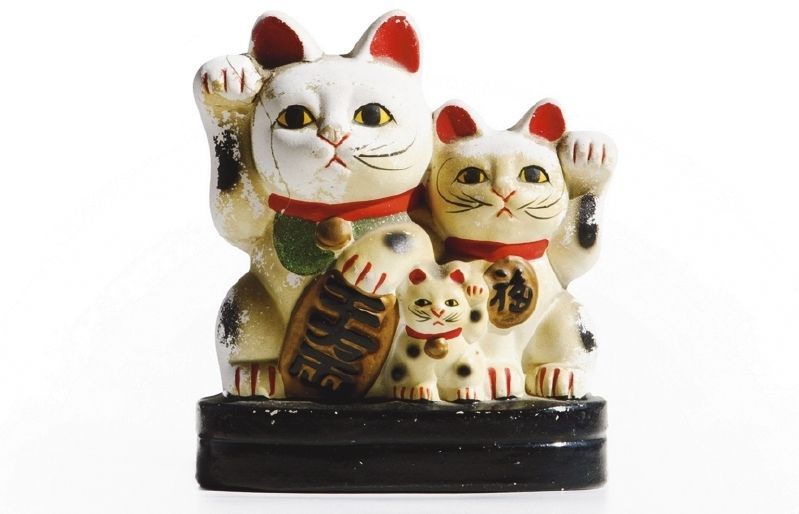 El gat de la sort i la fortuna