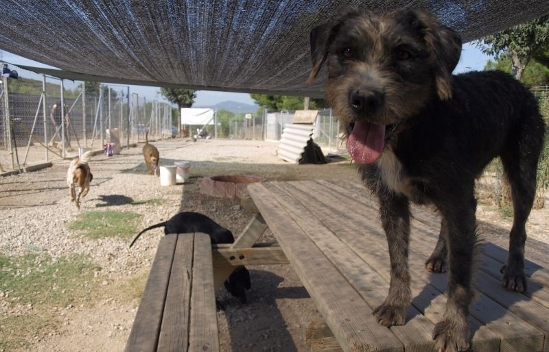 El Cau Amic està al limit de la seva capacitat. FOTO: A. Ribera