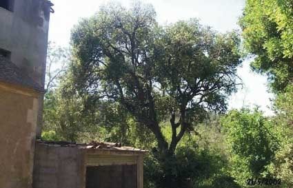 FOTO: Jordi Roca i Josep Castellví