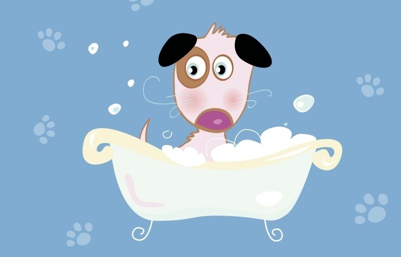 Autora: M. del Mar Vázquez Rodríguez 14 anys