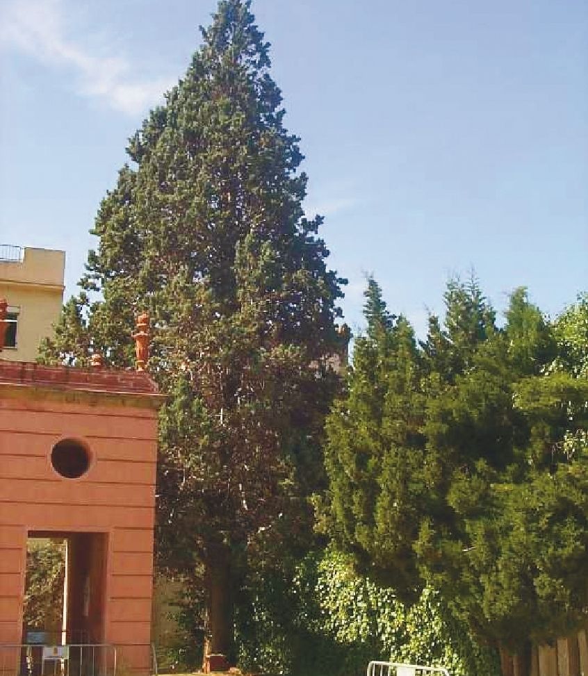 FOTO: Jordi Roca i Josep Castellví