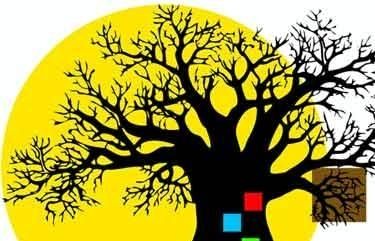 L'ONG treballa per millorar la situació a Gàmbia. FOTO: Cedida