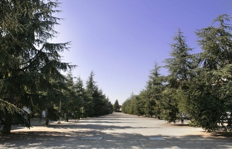 Passeig de Xavier Azqueta. Va dirigir la coral La Lira, va fundar l'Orfeó Sant Cugat i la Coral Sant Cugat del Club Muntanyenc. FOTO: A. Ribera