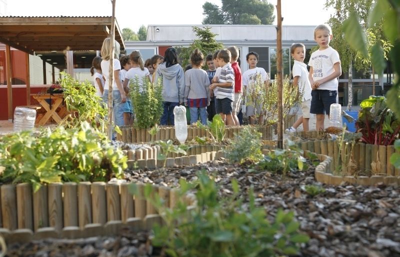 Horts de l'escola Turó de Can Mates. FOTO: A. Ribera