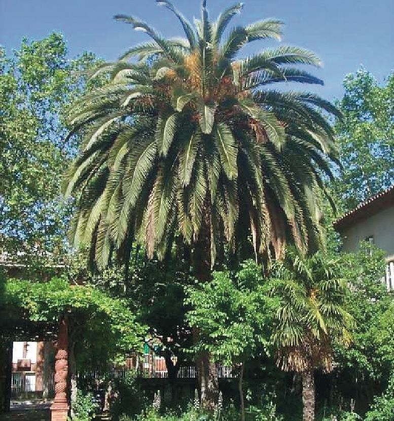 FOTO: Jordi Roca i Josep Castellví