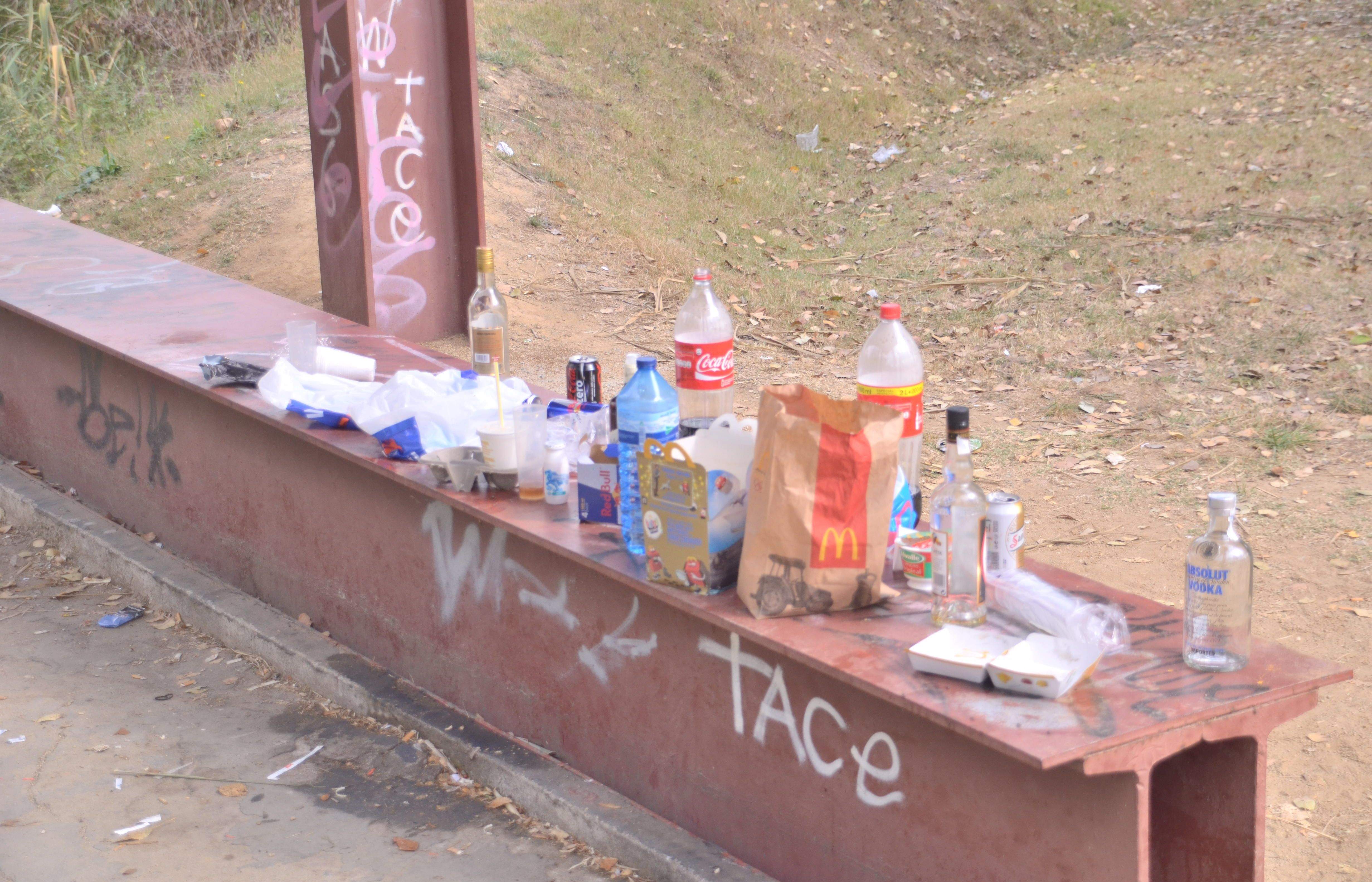 La brossa és un dels problemes derivats de la zona d'oci. FOTO: Cedida