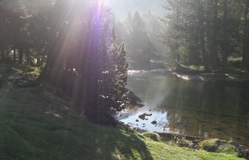 "Pau i tranquil·litat