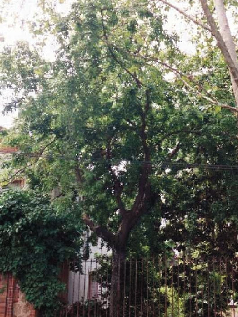 FOTO: Jordi Roca i Josep Castellví