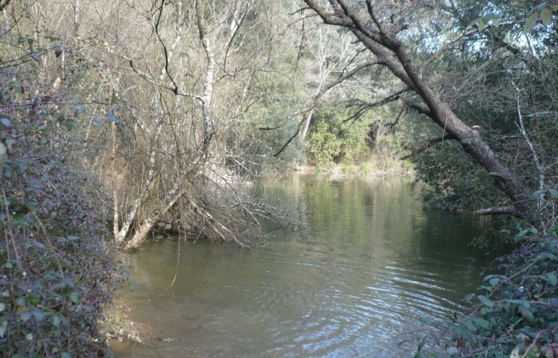L'excursió dura 3 hores i 30 minuts + 25 minuts per lesmorzar