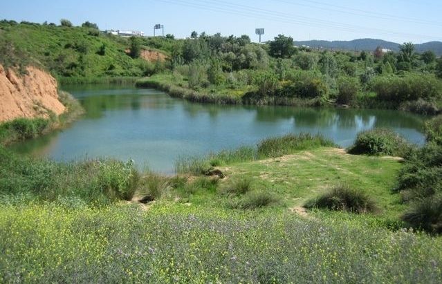 Estany dels Alous. FOTO: Arxiu