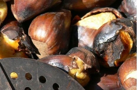 Pim Pam Pum vol ajudar a l'ONG Abarta mitjançant la venda de castanyes. FOTO: Cedida