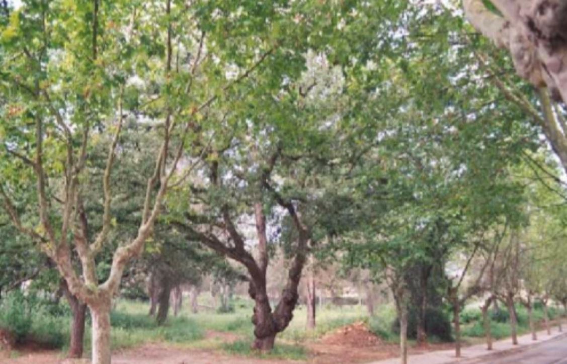 FOTO: Jordi Roca i Josep Castellví