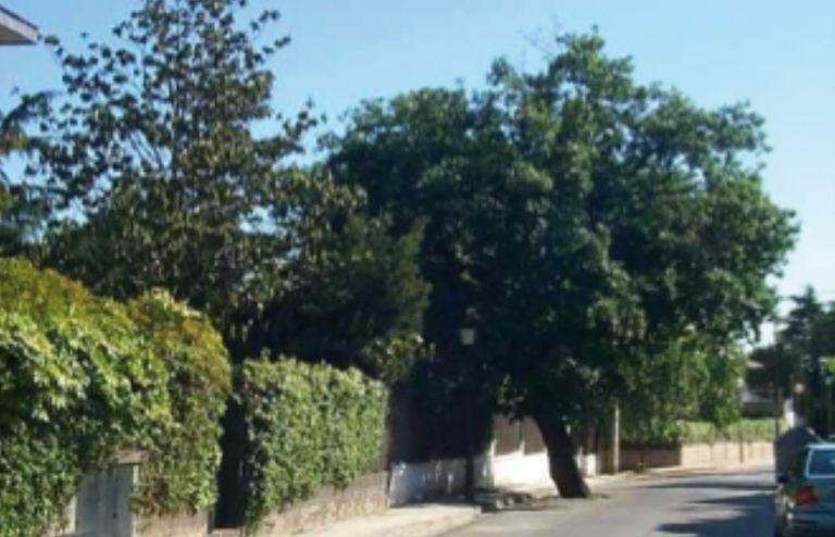 FOTO: Jordi Roca i Josep Castellví