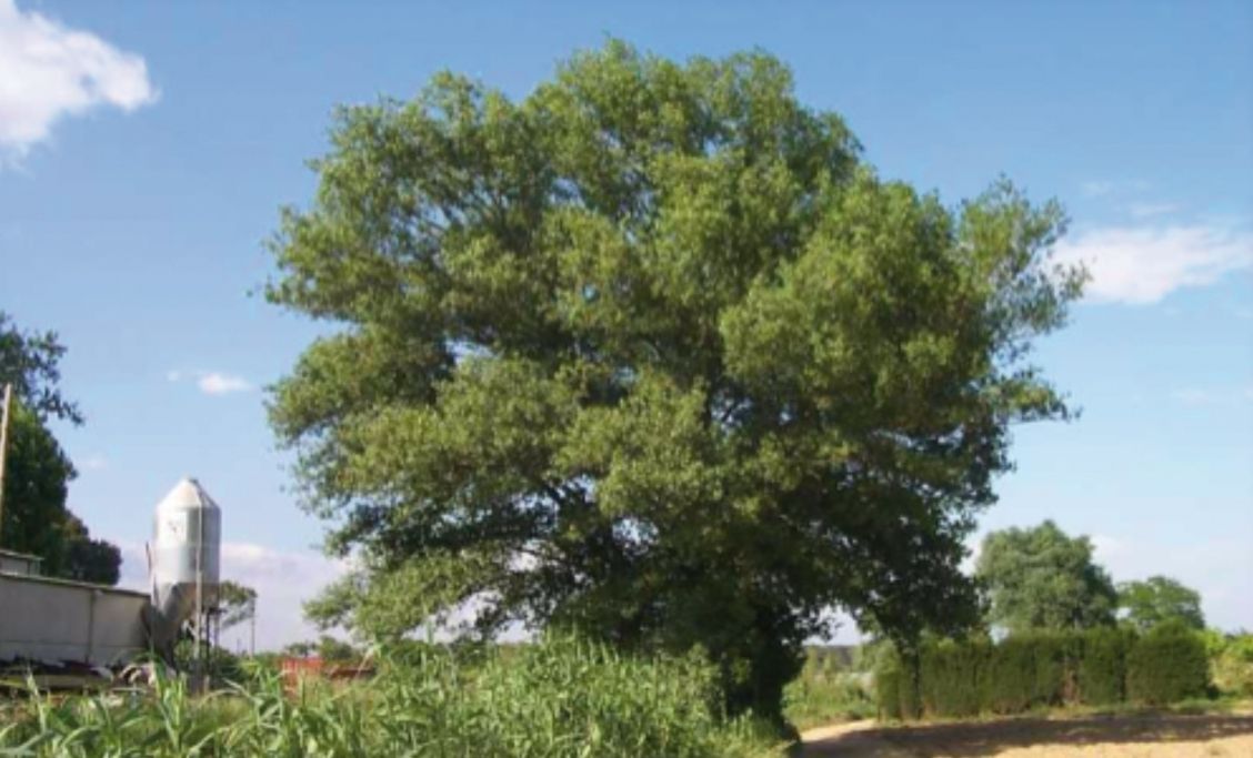 FOTO: Jordi Roca i Josep Castellví