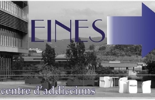 La desintoxicació, la deshabituació, la rehabilitació i la reinserció són les claus per aconseguir lèxit del tractament