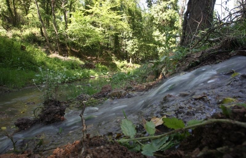 Riera de Can Llobet. FOTO: Arxiu