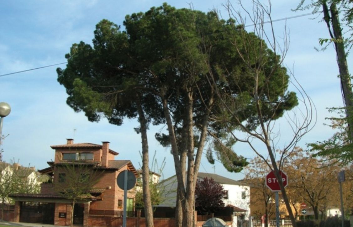 FOTO: Jordi Roca i Josep Castellví