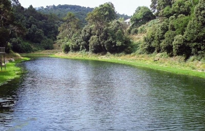 El recorregut serà de 3 hores i 30 minuts + 25 minuts per lesmorzar