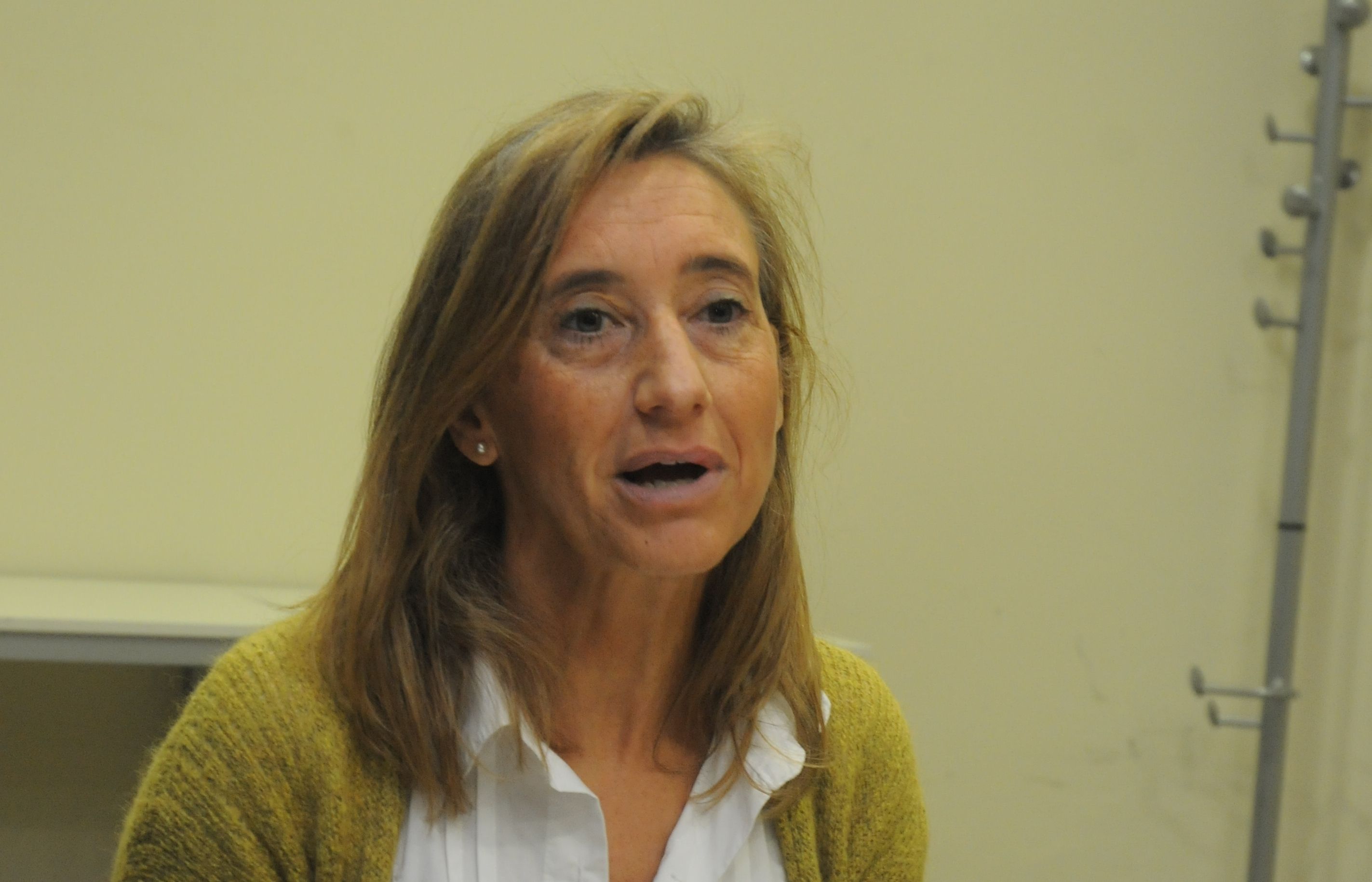 Pellicer en un moment de la presentació de la guia. FOTO: Localpress