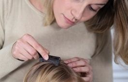 Utilitzen uns aspiradors especials per poder extreure el polls i els ous més grans 