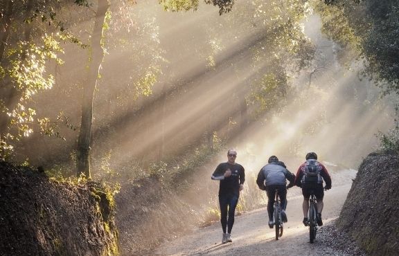 Collserola és un dels lloc on la practica d l'esport i la bicicleta coincideixen FOTO: Artur Ribera