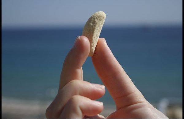 Aquesta és la forma original de les 'Garrofetes' o 'Llunes Delicatessen'. FOTO: Cedida