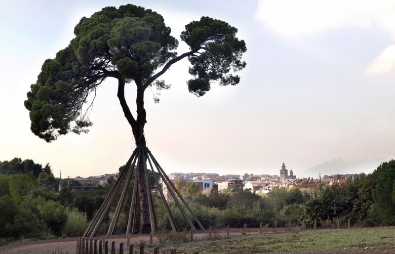 L'urbanisme i l'ús ciutadà són les principals amences de Collserola FOTO: Arxiu