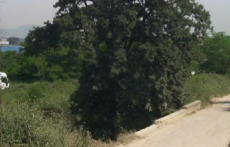 FOTO: Jordi Roca i Josep Castellví