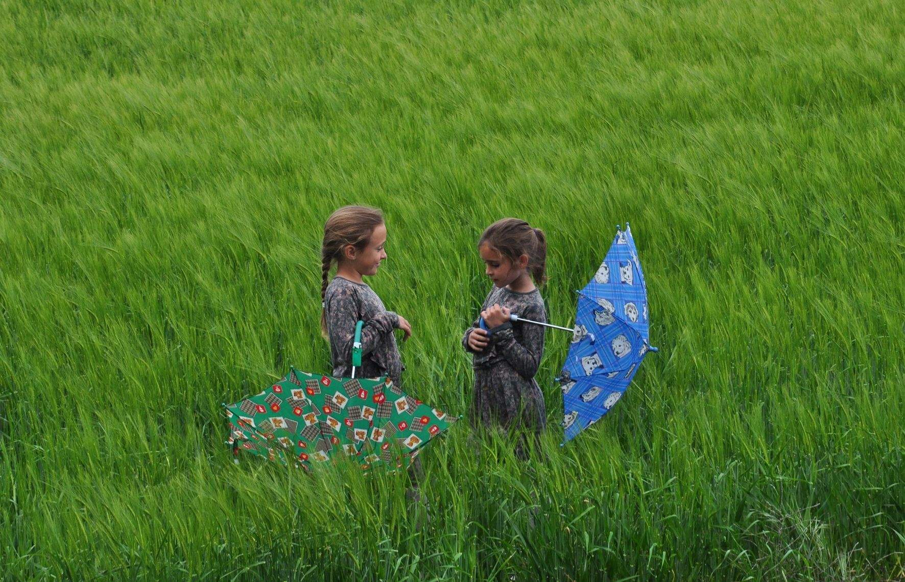 Una de les fotografies de Pep Pujol. FOTO: Pep Pujol