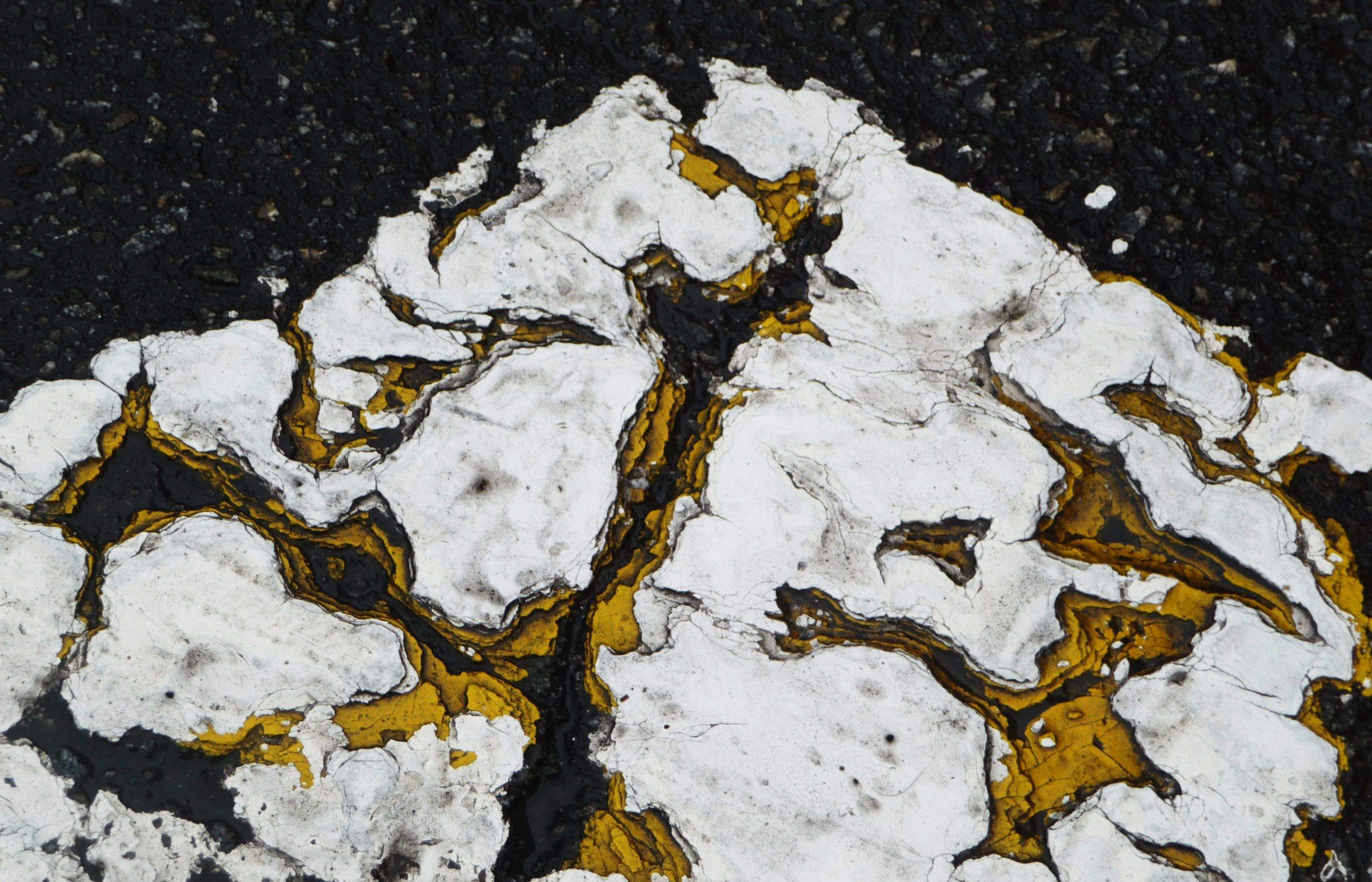 Una de les fotografies que es poden veure a l'exposició. FOTO: Marcel Albet