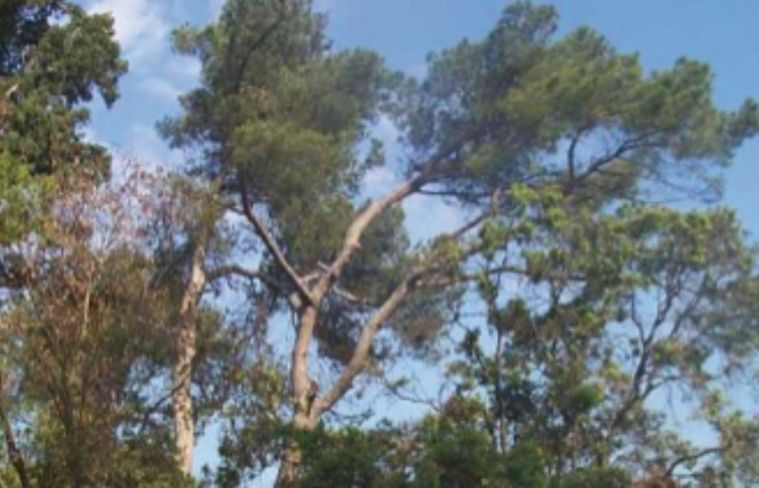 FOTO: Jordi Roca i Josep Castellví