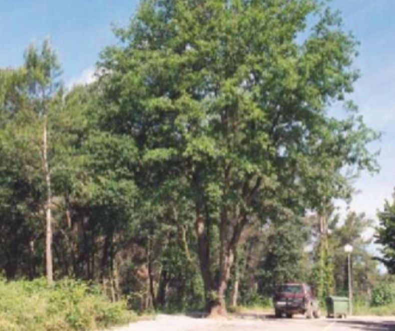 FOTO: Jordi Roca i Josep Castellví