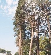 FOTO: Jordi Roca i Josep Castellví