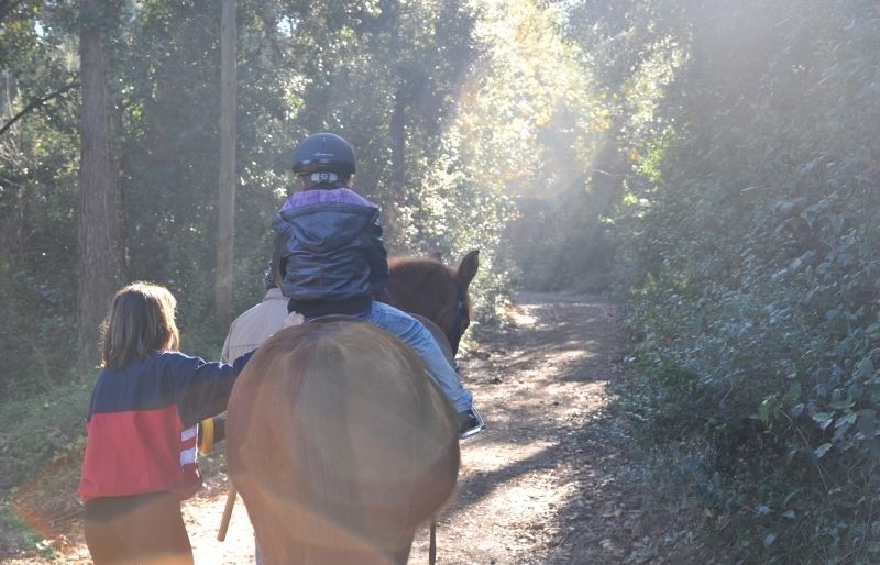 La hipoteràpia permet que  les persones discapacitades  entrin en contacte amb la natura  i surtin del context hospitalari. FOTO: Amanda Bernal 