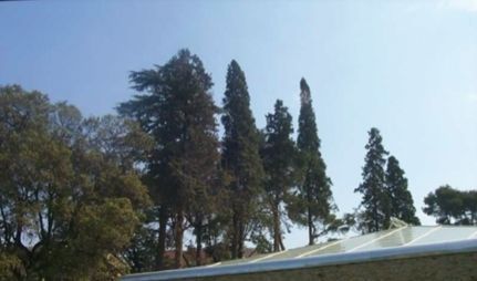 FOTO: Jordi Roca i Josep Castellví