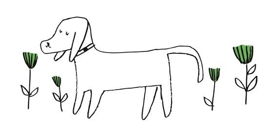 Il·lustracions: Escola d'Art i Disseny de Sant Cugat (Alex Burgos)