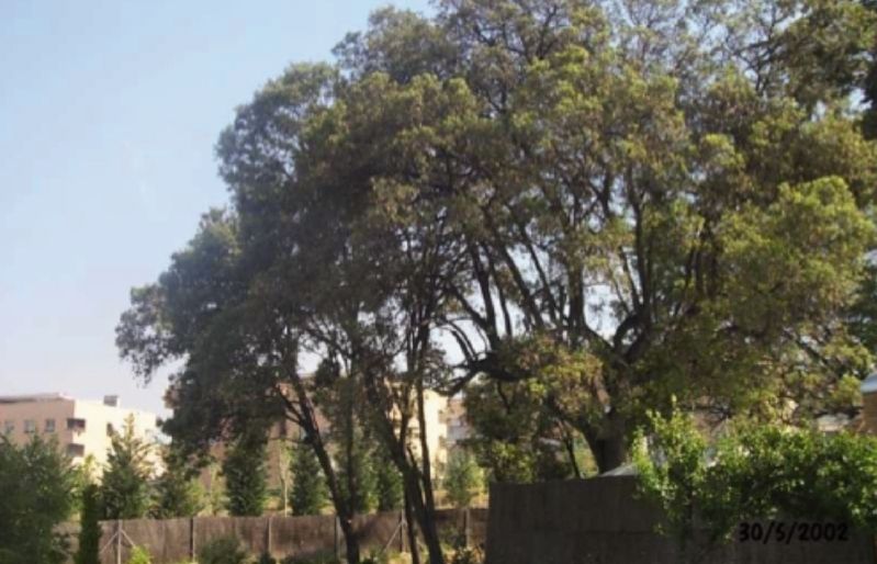 FOTO: Jordi Roca i Josep Castellví