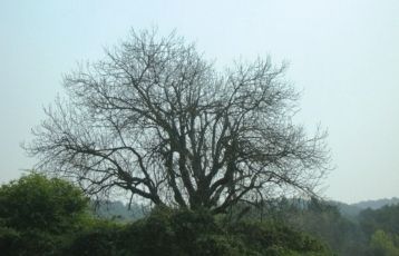 FOTO: Jordi Roca i Josep Castellví