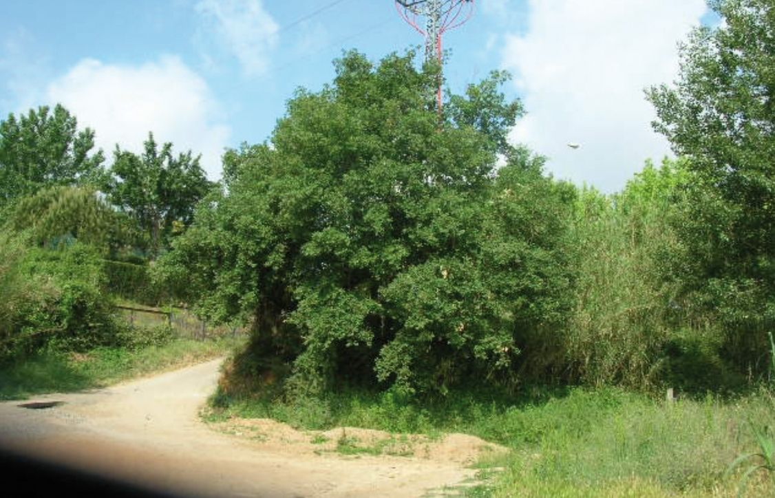 FOTO: Jordi Roca i Josep Castellví