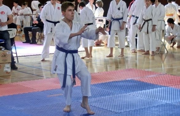 Més de 600 karateques al Ciutat de Sant Cugat. FOTO: I. Massafret