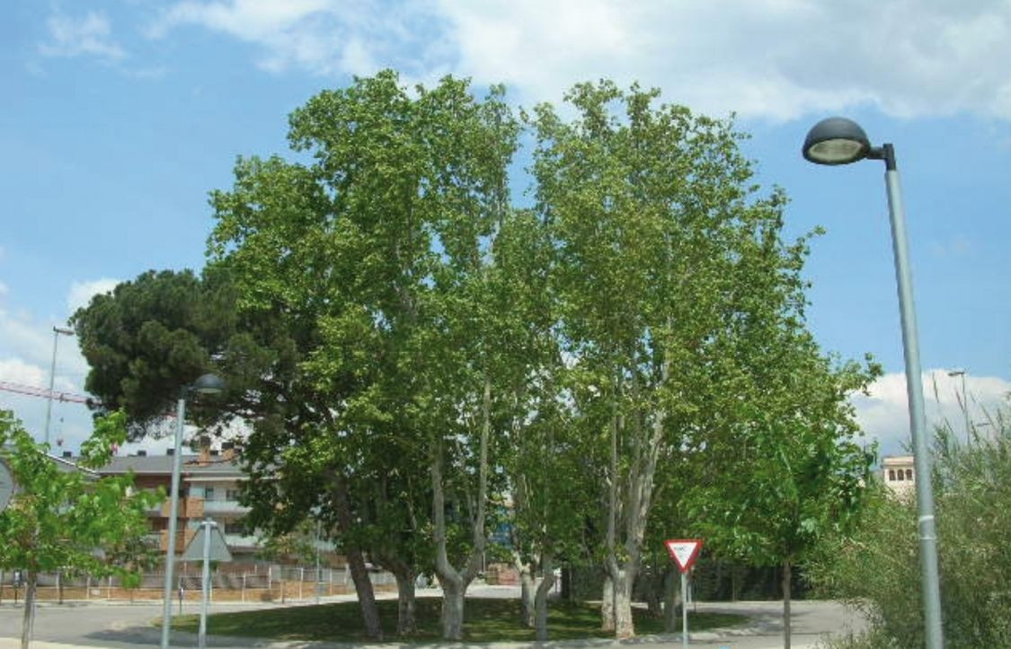 FOTO: Jordi Roca i Josep Castellví