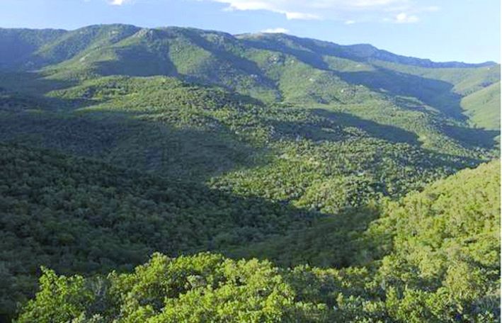 Descobreix el Turó de la Magarola. FOTO: Arxiu