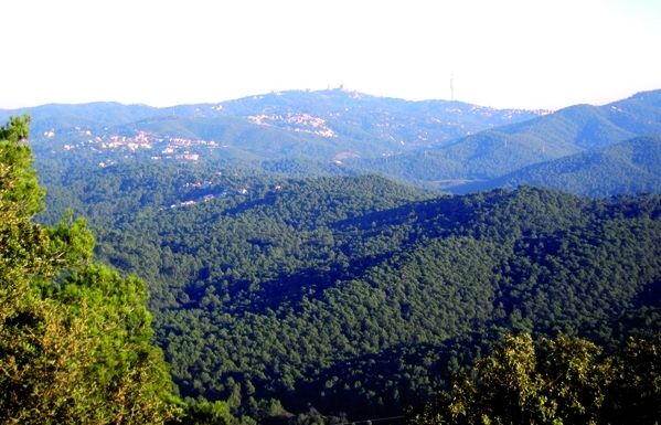 'Hi havia moltes masies que vivien del bosc perquè es podien dedicar a moltes feines' 