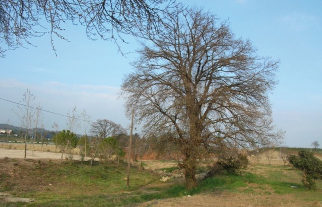 FOTO: Jordi Roca i Josep Castellví