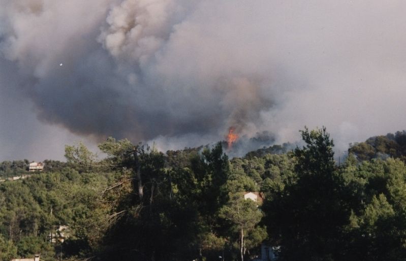 Incendi Les Planes 1994. FOTO: Arxiu.