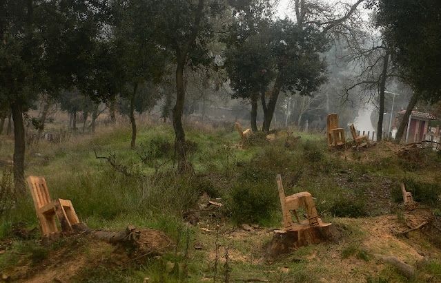 Les cadires de 'Leña de lux'. FOTO: Leña de lux